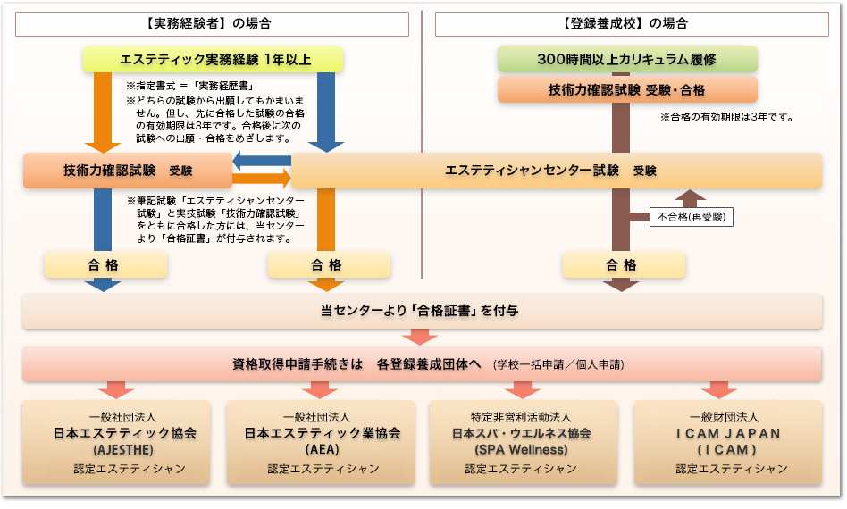 受験から合格、資格申請までのフロー